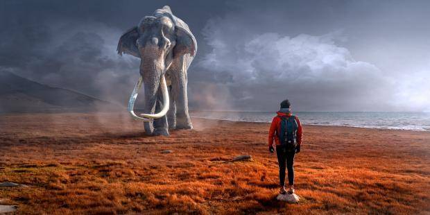 Поучительная притча о слоне жизнь которого похожа на судьбы миллионов людей - joinfo.ua