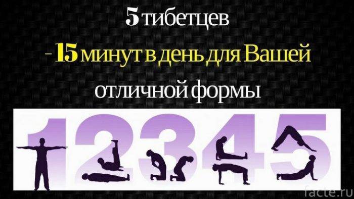 Комплекс упражнений – «Пять тибетских жемчужин» - facte.ru