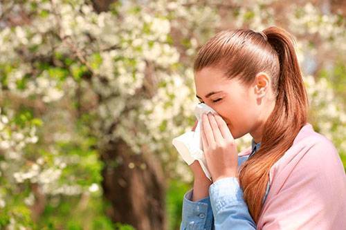 10 советов, как облегчить жизнь аллергику - vitamarg.com