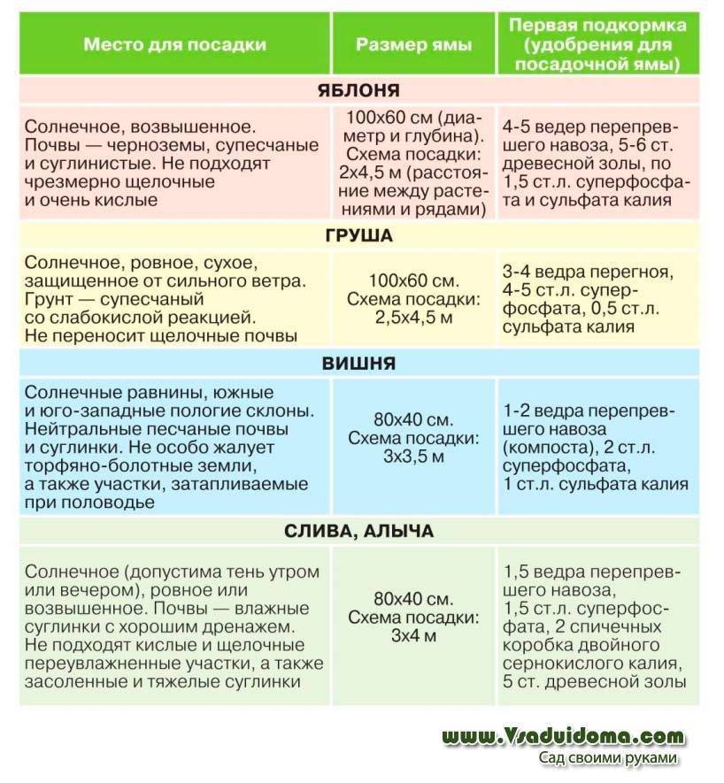 Условия посадки. Закладка плодового сада кратко. Пример посадки яблонь на даче. Норма плодово ягодных деревьев и кустарников на семью. От чего зависит схема посадки плодового сада.