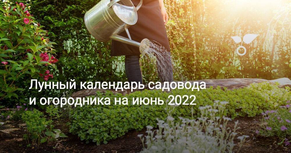 Календарь садовода огородника 2022. День огородника. Огород в июне. Блоггеры садоводы и огородники. Табличка для садовода и огородника.