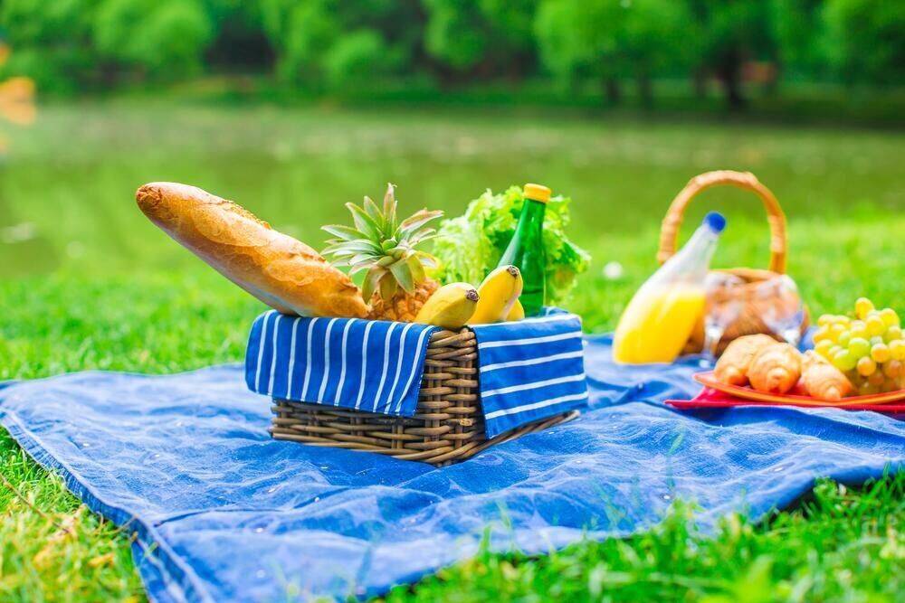 Пикник голова. Летний пикник на природе. Питание летом. Летний пикник. Продукты на пикник.