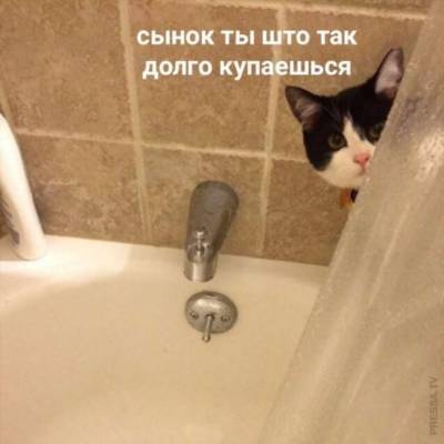 Если кто-то долго принимает ванну значит, на то есть причины - chert-poberi.ru