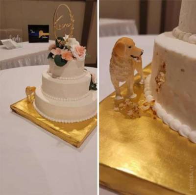 Креативные свадебные торты - chert-poberi.ru - Сша