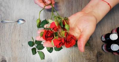 Вечная роза в глицерине: очень красивый декор своими руками - cpykami.ru
