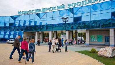 В Новосибирске продукты незаконных торговцев отдадут зоопарку - mur.tv - Россия - Новосибирск - Красноярский край