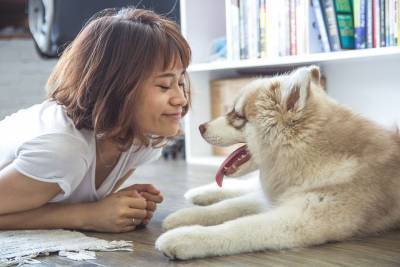Знаете, как реагируют собаки на признание в любви? - mur.tv
