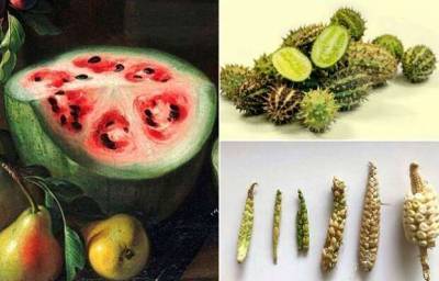 Как выглядели фрукты и овощи до того, как их коснулась рука человека - lublusebya.ru