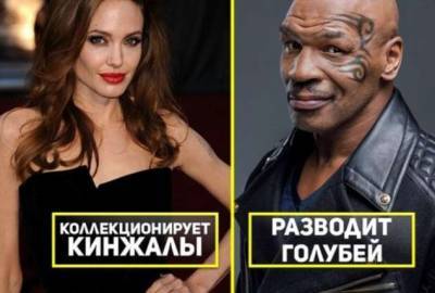 Анджелина Джоли - Майк Тайсон - Необычные увлечения известных людей, которые точно удивят вас - lublusebya.ru