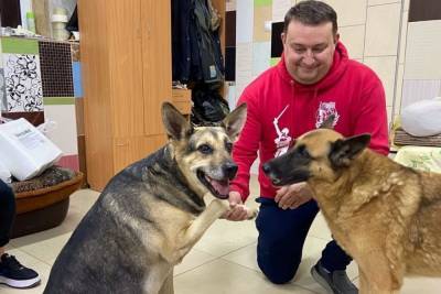 Смоленские волонтеры сформируют специальный отряд для помощи приюту для собак - mur.tv - Смоленск