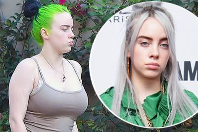 Вильям Айлиш - Billie Eilish - Билли Айлиш ответила хейтерам, раскритиковавшим ее фигуру - spletnik.ru - Лос-Анджелес