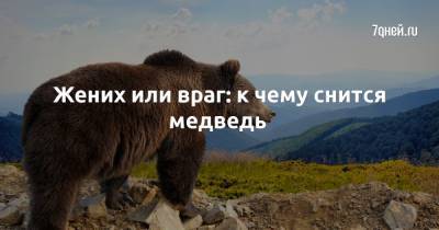 Жених или враг: к чему снится медведь - 7days.ru