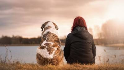 Ученые нашли общую психологическую особенность у собак и человека - mur.tv - республика Крым - Симферополь - Будапешт