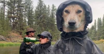 Атмосферный снимок троицы на рыбалке с участием пса в куртке с капюшоном превратился в крутой фотошоп-баттл - mur.tv
