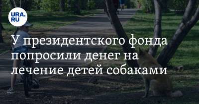 У президентского фонда попросили денег на лечение детей собаками - mur.tv - Екатеринбург