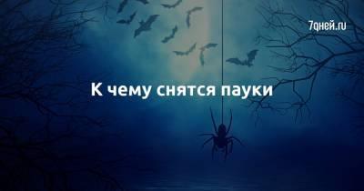 К чему снятся пауки - 7days.ru