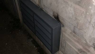 Жители Тосно требуют вызволить замурованных в подвале котят - mur.tv - Ленобласть обл.