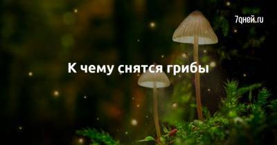 К чему снятся грибы - 7days.ru