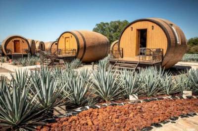Мексиканцы предлагают отдых в гигантской бочке, устроившейся среди плантаций агавы - chert-poberi.ru - Мексика