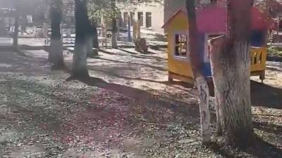 “Страшно за малышей”. Житель Артема рассказал о змее на детской площадке - mur.tv - Россия - Владивосток - Приморье край - Артем