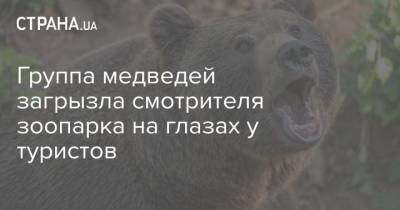 Группа медведей загрызла смотрителя зоопарка на глазах у туристов - mur.tv - Украина