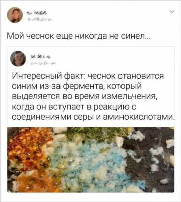 15+ твитов от людей, которым в голову приходят нестандартные мысли - milayaya.ru