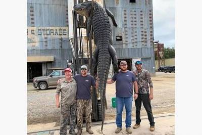 Четырехметровый аллигатор два часа таскал за собой лодку с охотниками - mur.tv - Usa - штат Арканзас