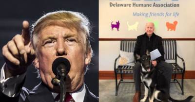 Барак Обама - Джозеф Байден - Трамп против Байдена: скажут ли любители животных свое веское слово - mur.tv - Сша