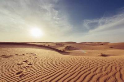 Тест: Какие у вас шансы выжить в жаркой пустыне? - lifehelper.one