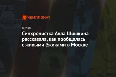 Синхронистка Алла Шишкина рассказала, как пообщалась с живыми ёжиками в Москве - mur.tv - Москва