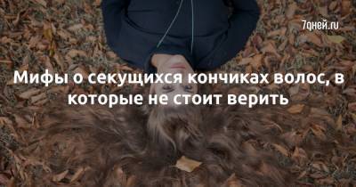 Мифы о секущихся кончиках волос, в которые не стоит верить - 7days.ru