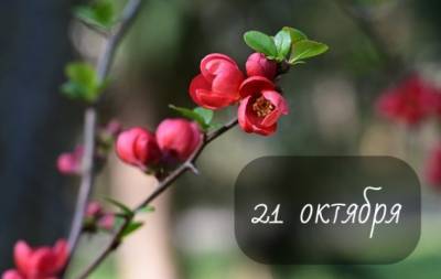 21 октября: какой сегодня праздник, приметы, именинники дня и что нельзя делать - hochu.ua
