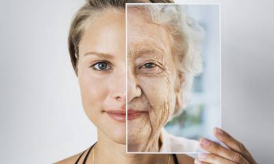 Тайны долголетия: почему мы все еще стареем, что такое «эффект бабушки» и как узнать свою продолжительность жизни - marieclaire.ru - Россия - Голландия