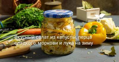 Вкусный салат из капусты, перца сладкого, моркови и лука на зиму - sadogorod.club