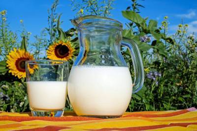 В Китае развенчали популярные мифы о молоке nbsp - woman.rambler.ru - Китай