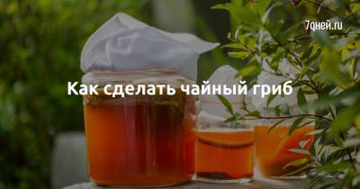 Как сделать чайный гриб - 7days.ru