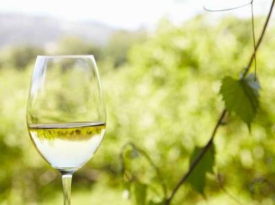 Зеленое вино: что такое Vinho Verde и почему оно такое редкое (у нас) - lublusebya.ru