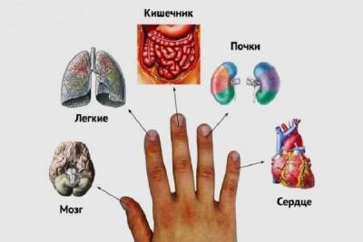 Каждый палец связан с двумя органами: японский метод лечения за 5 минут! - lifehelper.one