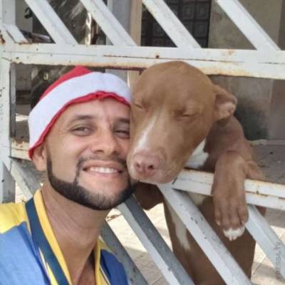 Почтальон — лучший друг собак - chert-poberi.ru - Бразилия - Сан-Паулу
