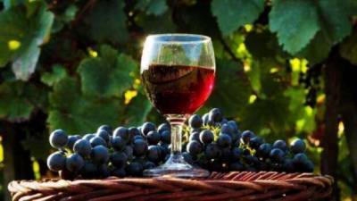 Рецепты легких вин из винограда для начинающих: петио, сухое и самое простое - lublusebya.ru