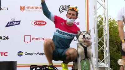 Дмитрий Тарасов - В Москве состоялся благотворительный забег с собаками Быстрый пес. - mur.tv - Москва