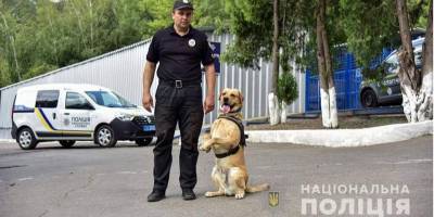 МВД хочет использовать служебных собак для выявления зараженных коронавирусом в Украине - mur.tv - Франция - Украина - Англия - Финляндия - Хельсинки
