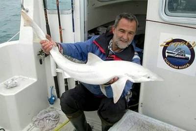 Рыбак взял на руки редчайшую акулу белого окраса - mur.tv - Англия