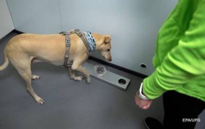 В Украине могут привлечь собак для выявления больных COVID-19 - mur.tv - Украина - Финляндия - Хельсинки