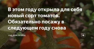 В этом году открыла для себя новый сорт томатов. Обязательно посажу в следующем году снова - sadogorod.club