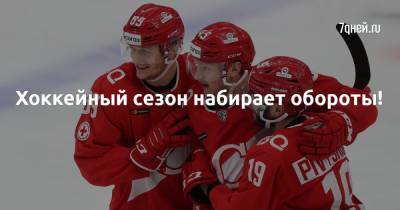 Хоккейный сезон набирает обороты! - 7days.ru - Москва - Казахстан - Ярославль