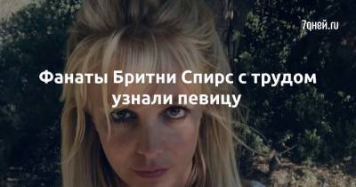 Бритни Спирс - Фанаты Бритни Спирс с трудом узнали певицу - 7days.ru