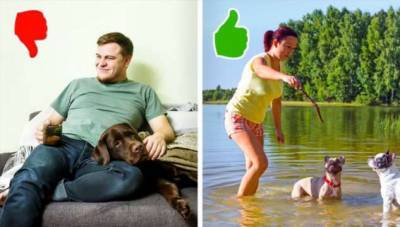 11 ошибок, которые пора перестать совершать каждому, кто любит свою собаку - chert-poberi.ru