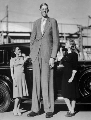 Роберт Уодлоу - 273 см — почему родители уничтожили память о самом высоком человеке в мире (4 фото) - chert-poberi.ru - Сша