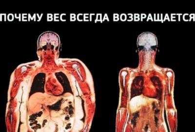 Адаптивный термогенез: почему возвращаются потерянные килограммы - lublusebya.ru
